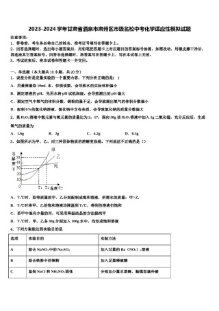2023-2024学年甘肃省酒泉市肃州区市级名校中考化学适应性模拟试题含解析.doc