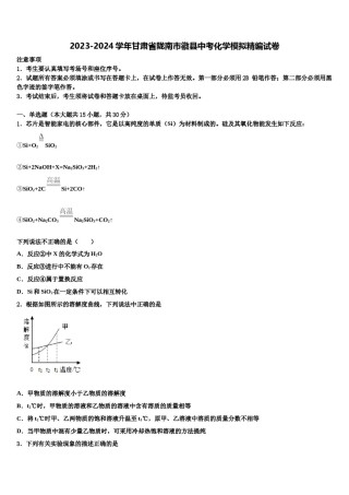 2023-2024学年甘肃省陇南市徽县中考化学模拟精编试卷含解析.doc