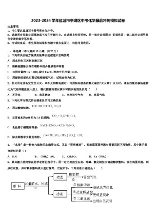 2023-2024学年盐城市亭湖区中考化学最后冲刺模拟试卷含解析.doc