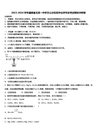 2023-2024学年福建省尤溪一中学文公分校初中化学毕业考试模拟冲刺卷含解析.doc