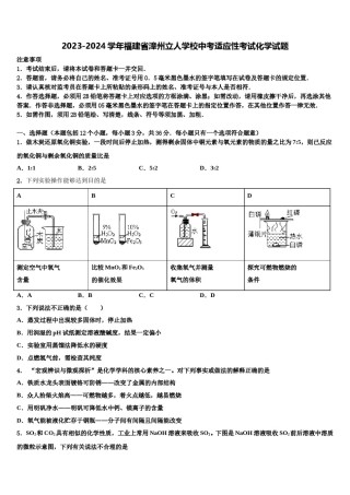 2023-2024学年福建省漳州立人学校中考适应性考试化学试题含解析.doc