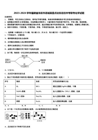 2023-2024学年福建省龙岩市连城县重点达标名校中考联考化学试题含解析.doc
