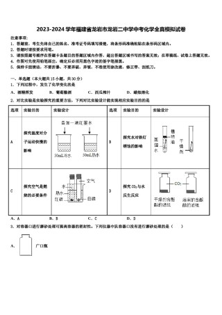 2023-2024学年福建省龙岩市龙岩二中学中考化学全真模拟试卷含解析.doc