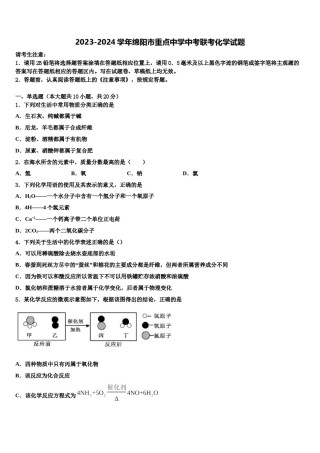 2023-2024学年绵阳市重点中学中考联考化学试题含解析.doc
