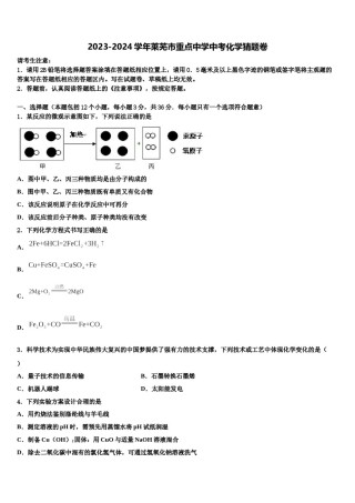 2023-2024学年莱芜市重点中学中考化学猜题卷含解析.doc