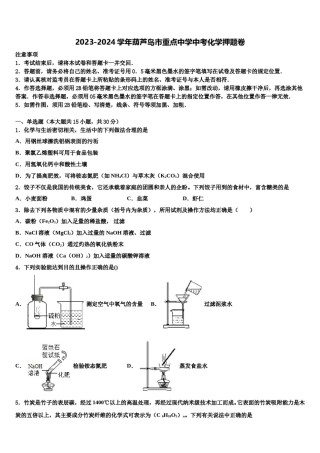 2023-2024学年葫芦岛市重点中学中考化学押题卷含解析.doc