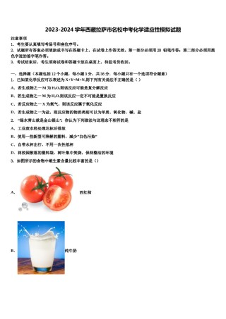 2023-2024学年西藏拉萨市名校中考化学适应性模拟试题含解析.doc