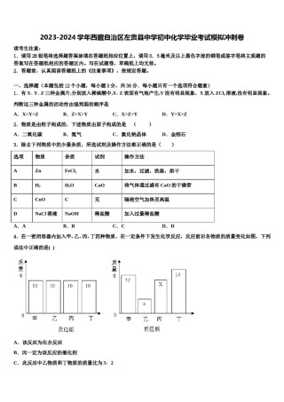 2023-2024学年西藏自治区左贡县中学初中化学毕业考试模拟冲刺卷含解析.doc