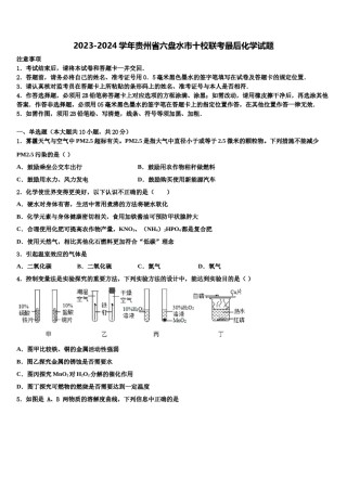 2023-2024学年贵州省六盘水市十校联考最后化学试题含解析.doc