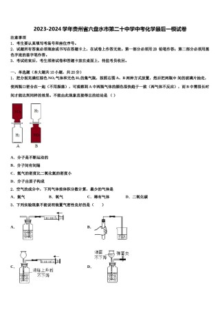 2023-2024学年贵州省六盘水市第二十中学中考化学最后一模试卷含解析.doc