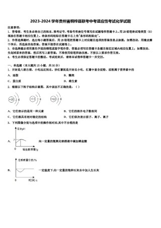 2023-2024学年贵州省桐梓县联考中考适应性考试化学试题含解析.doc
