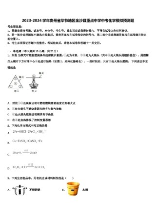 2023-2024学年贵州省毕节地区金沙县重点中学中考化学模拟预测题含解析.doc