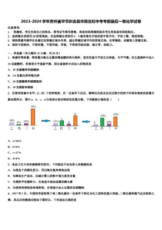 2023-2024学年贵州省毕节织金县市级名校中考考前最后一卷化学试卷含解析.doc