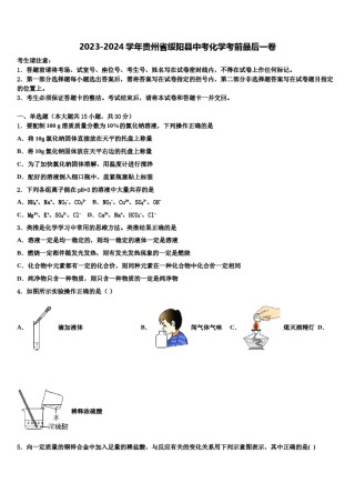 2023-2024学年贵州省绥阳县中考化学考前最后一卷含解析.doc