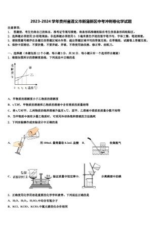 2023-2024学年贵州省遵义市新蒲新区中考冲刺卷化学试题含解析.doc