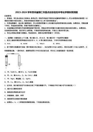 2023-2024学年贵州省铜仁市重点达标名校中考化学模拟预测题含解析.doc