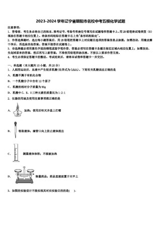 2023-2024学年辽宁省朝阳市名校中考五模化学试题含解析.doc