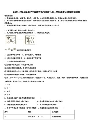 2023-2024学年辽宁省葫芦岛市海滨九年一贯制中考化学模拟预测题含解析.doc