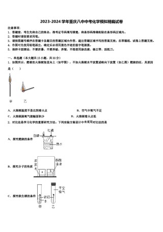 2023-2024学年重庆八中中考化学模拟精编试卷含解析.doc