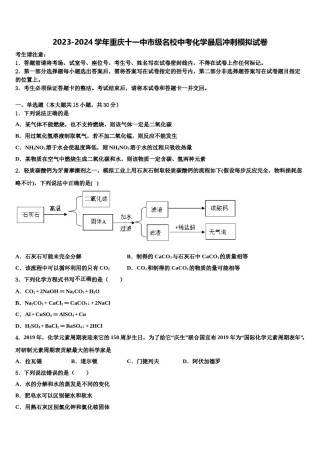 2023-2024学年重庆十一中市级名校中考化学最后冲刺模拟试卷含解析.doc