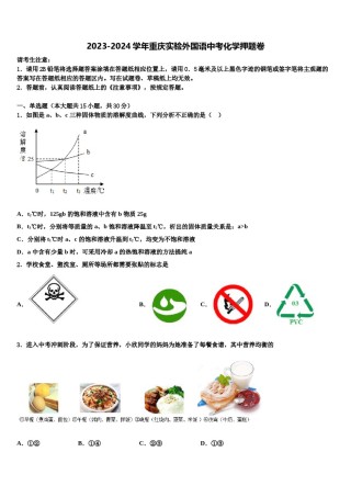 2023-2024学年重庆实验外国语中考化学押题卷含解析.doc
