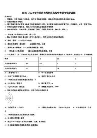 2023-2024学年重庆市万州区名校中考联考化学试题含解析.doc