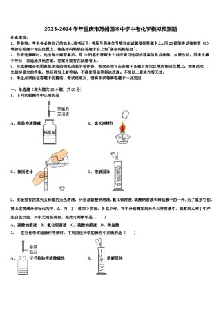 2023-2024学年重庆市万州国本中学中考化学模拟预测题含解析.doc
