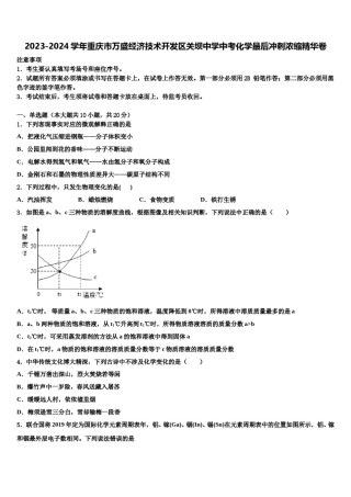 2023-2024学年重庆市万盛经济技术开发区关坝中学中考化学最后冲刺浓缩精华卷含解析.doc
