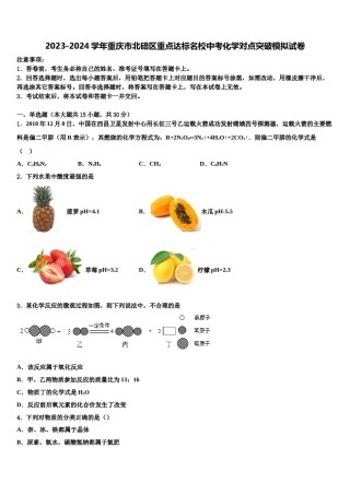 2023-2024学年重庆市北碚区重点达标名校中考化学对点突破模拟试卷含解析.doc