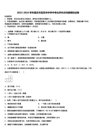 2023-2024学年重庆市宜宾市中学中考化学对点突破模拟试卷含解析.doc
