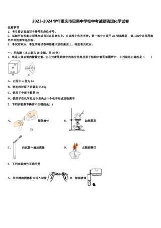 2023-2024学年重庆市巴南中学校中考试题猜想化学试卷含解析.doc
