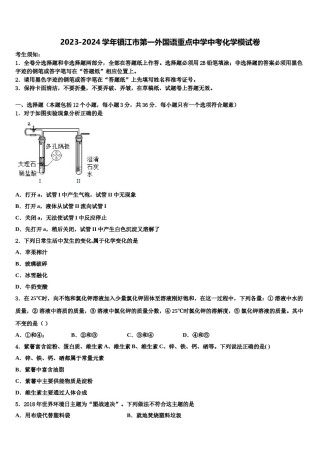 2023-2024学年镇江市第一外国语重点中学中考化学模试卷含解析.doc