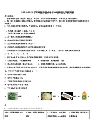 2023-2024学年阜阳市重点中学中考押题化学预测卷含解析.doc