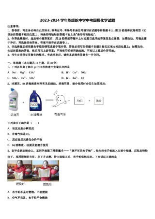 2023-2024学年陈经纶中学中考四模化学试题含解析.doc