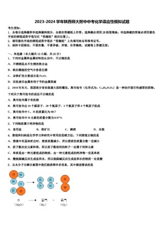 2023-2024学年陕西师大附中中考化学适应性模拟试题含解析.doc