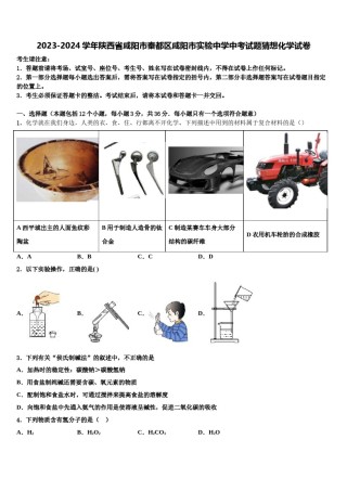 2023-2024学年陕西省咸阳市秦都区咸阳市实验中学中考试题猜想化学试卷含解析.doc