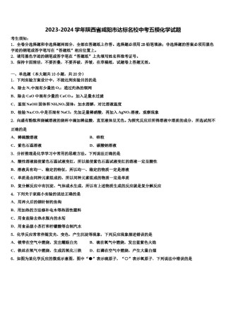 2023-2024学年陕西省咸阳市达标名校中考五模化学试题含解析.doc