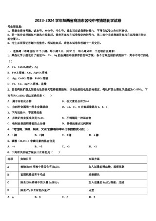 2023-2024学年陕西省商洛市名校中考猜题化学试卷含解析.doc