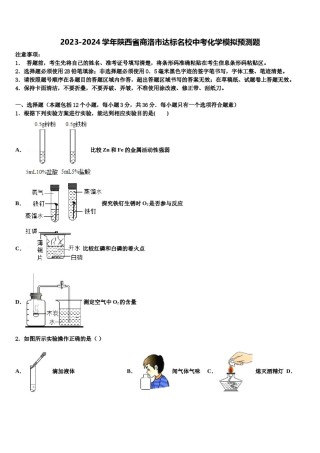 2023-2024学年陕西省商洛市达标名校中考化学模拟预测题含解析.doc