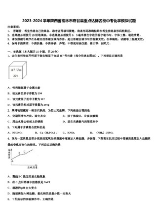 2023-2024学年陕西省榆林市府谷县重点达标名校中考化学模拟试题含解析.doc