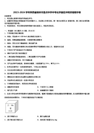 2023-2024学年陕西省榆林市重点中学中考化学最后冲刺浓缩精华卷含解析.doc