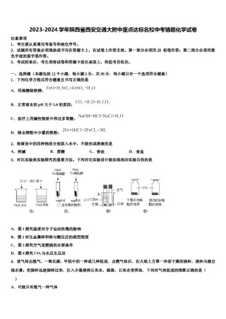 2023-2024学年陕西省西安交通大附中重点达标名校中考猜题化学试卷含解析.doc