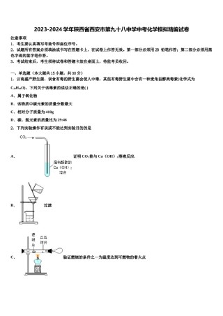 2023-2024学年陕西省西安市第九十八中学中考化学模拟精编试卷含解析.doc