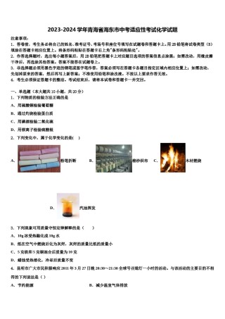 2023-2024学年青海省海东市中考适应性考试化学试题含解析.doc