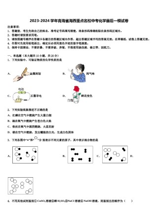 2023-2024学年青海省海西重点名校中考化学最后一模试卷含解析.doc