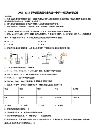 2023-2024学年青海省西宁市大通一中学中考联考化学试卷含解析.doc