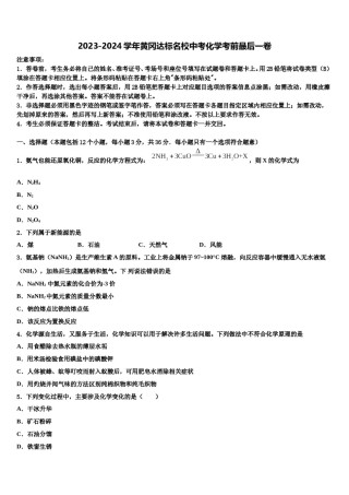 2023-2024学年黄冈达标名校中考化学考前最后一卷含解析.doc