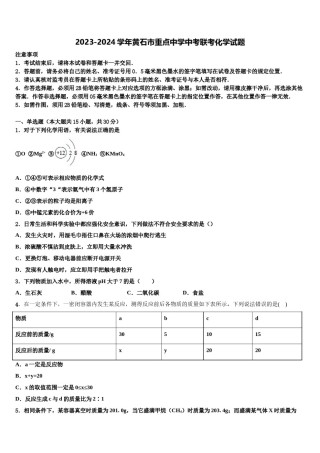 2023-2024学年黄石市重点中学中考联考化学试题含解析.doc
