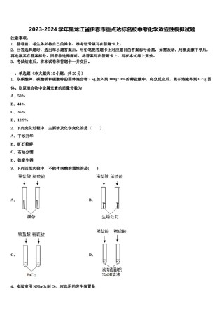 2023-2024学年黑龙江省伊春市重点达标名校中考化学适应性模拟试题含解析.doc