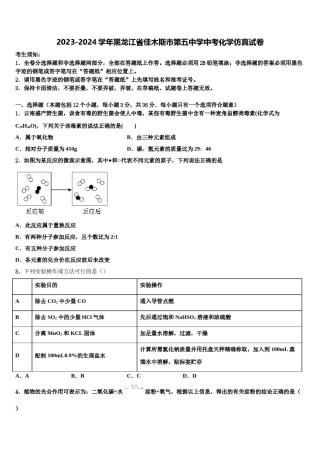 2023-2024学年黑龙江省佳木斯市第五中学中考化学仿真试卷含解析.doc